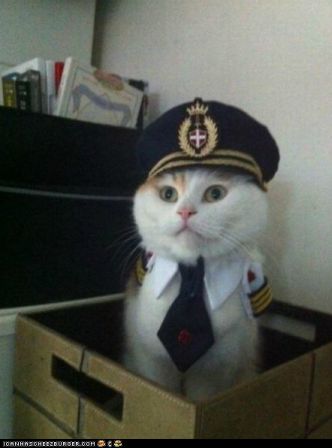 captainkitteh.png