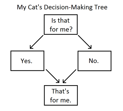 catsdecisionmakingtree.png