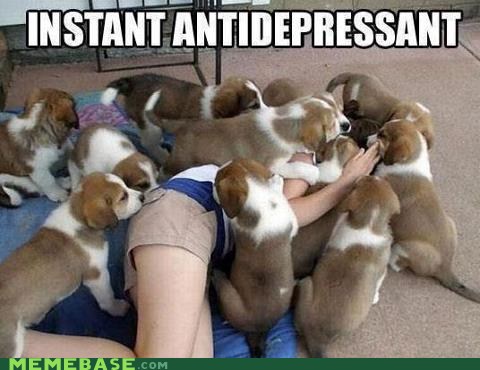 antidepresseur.jpg