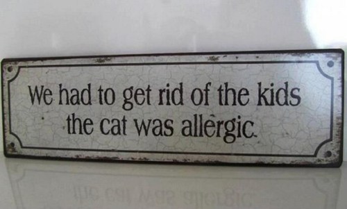 allergiccat.jpg