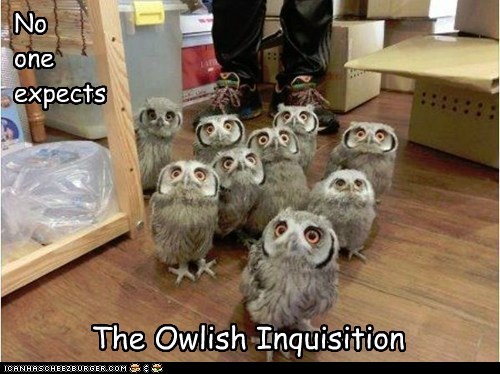 owlishinquisition.jpg
