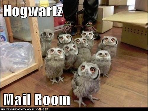 hogwartzmailroom.jpg