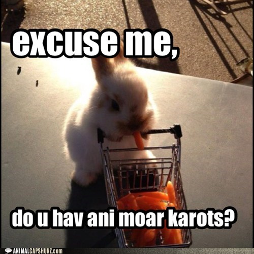 bunnycarottes.jpg