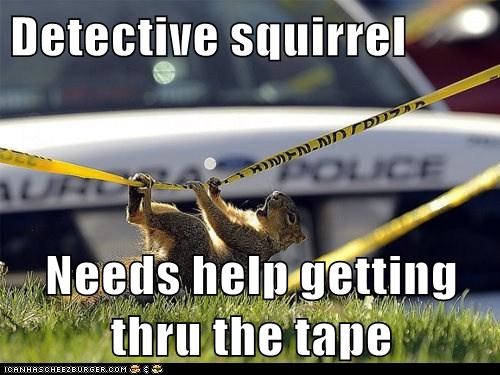 detectivesquirrel.jpg