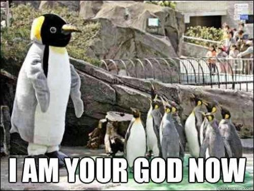 pingouins.jpg